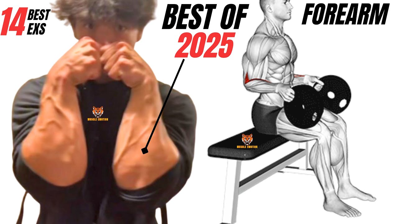 14 BEST FOREARMS WORKOUT AT GYM / BEST OF 2025 - YouTube