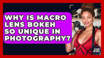 Why Is Macro Lens Bokeh So Unique In Photography? - Image Review Studio