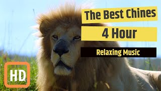 4 Hour of The Best Chines Relaxing Music| Meditation - Healing - Sleep - Zen - Peace - Natural #18