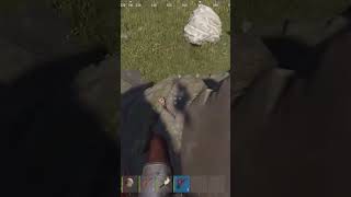 Rust play 🤪#rust #funny #rustgame #rustpvp