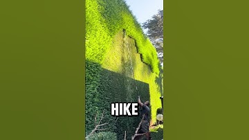 Unlock Hidden Wonders: Random Facts and Unforgettable Thoughts Await!