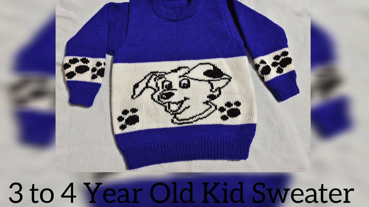 Sweater for 3 to 4 Year Old Kid 🧶🧣