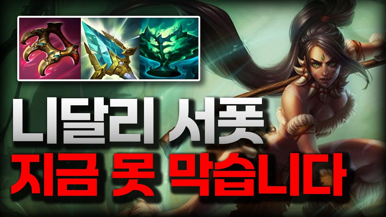 니달리 서폿 지금 못 막습니다