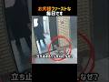 お犬様ファーストな毎日です #犬 #かわいい犬 #癒やし動画