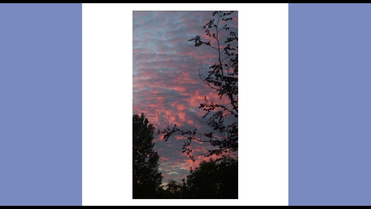 *FREE* Monk x BHZ Type Beat "DETACH"