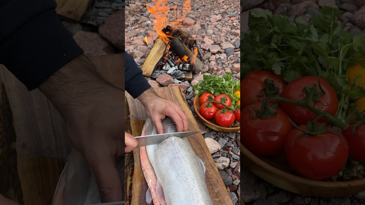 9 декабря 2023 г.