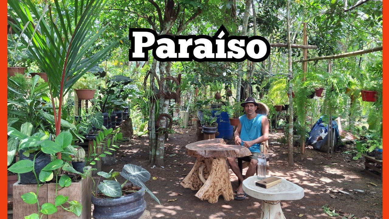 UM PARAÍSO COM LINDAS PLANTAS TROPICAIS E MUITOS ARTESANATOS😍