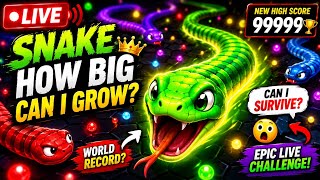 🔴 LIVE NOW | Snake Game High Score Challenge | Android | iOS screenshot 5