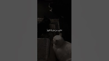 أنيروا جمعتكم بـ سورة الكهف وعطروها بالصلاة على رسول الله  #قران #احمد_العجمي #سورة_الكهف