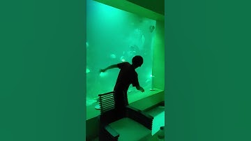 #music #video #shortsviral #shortvideos #viralvideo #reels #love #like #shorts #short