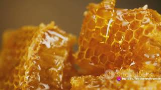 Beekeeping Basics. Overview of Bee Care