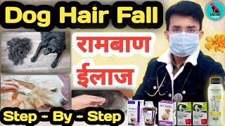 Dog Hair Fall || रामबाण ईलाज  || Dog Hair Fall TREATMENT || Hair Shedding Problem || 100 % Result