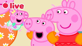 🔴 Peppa Pig BEBÈ EVIE Episodi IN DIRETTA 🍼 I Migliori Momenti di Evie 🥹 Cartoni per Bambini