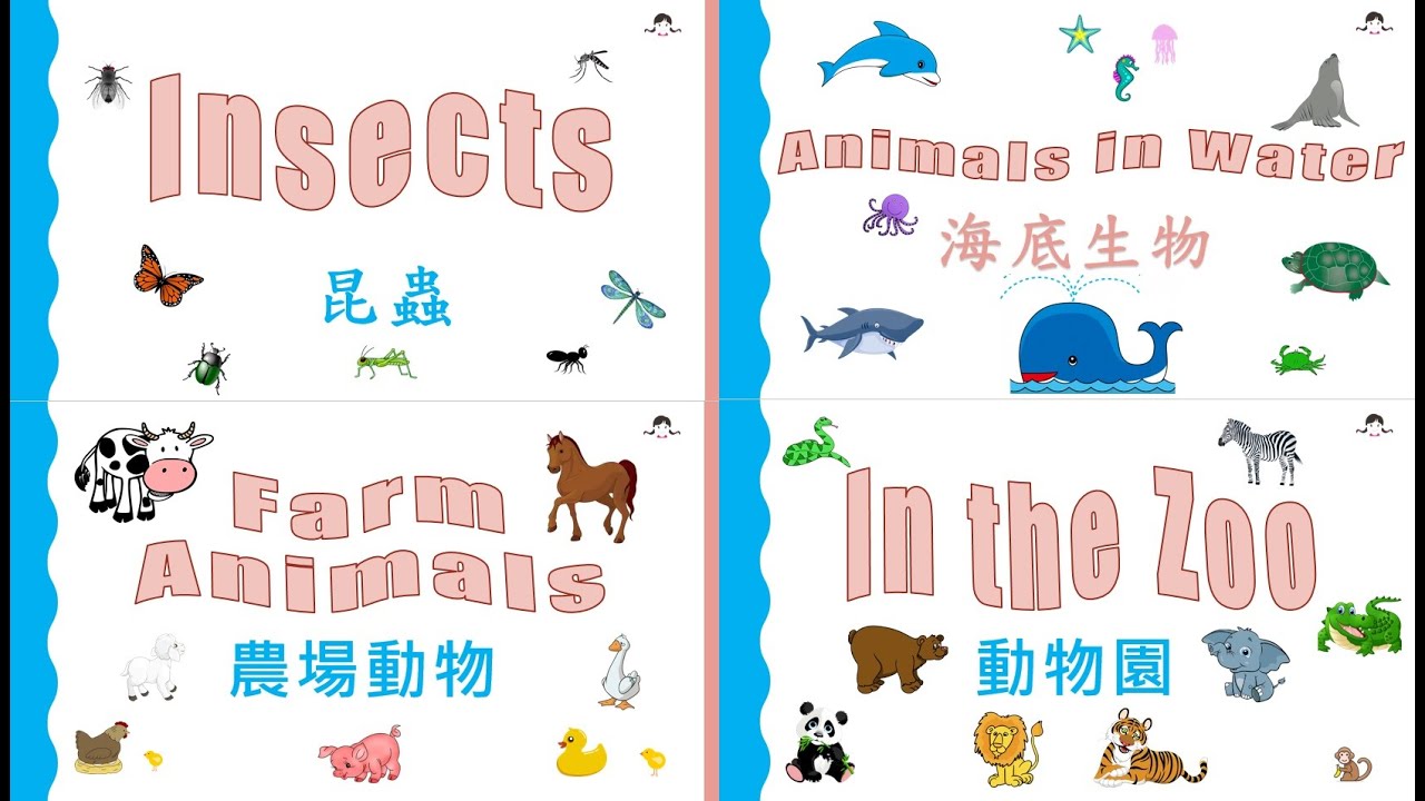 English Cantonese Flashcards - Animals & Insects Collection 英文廣東話字卡 ...