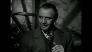 Download Lagu The Spider and the Fly 1949 MP3