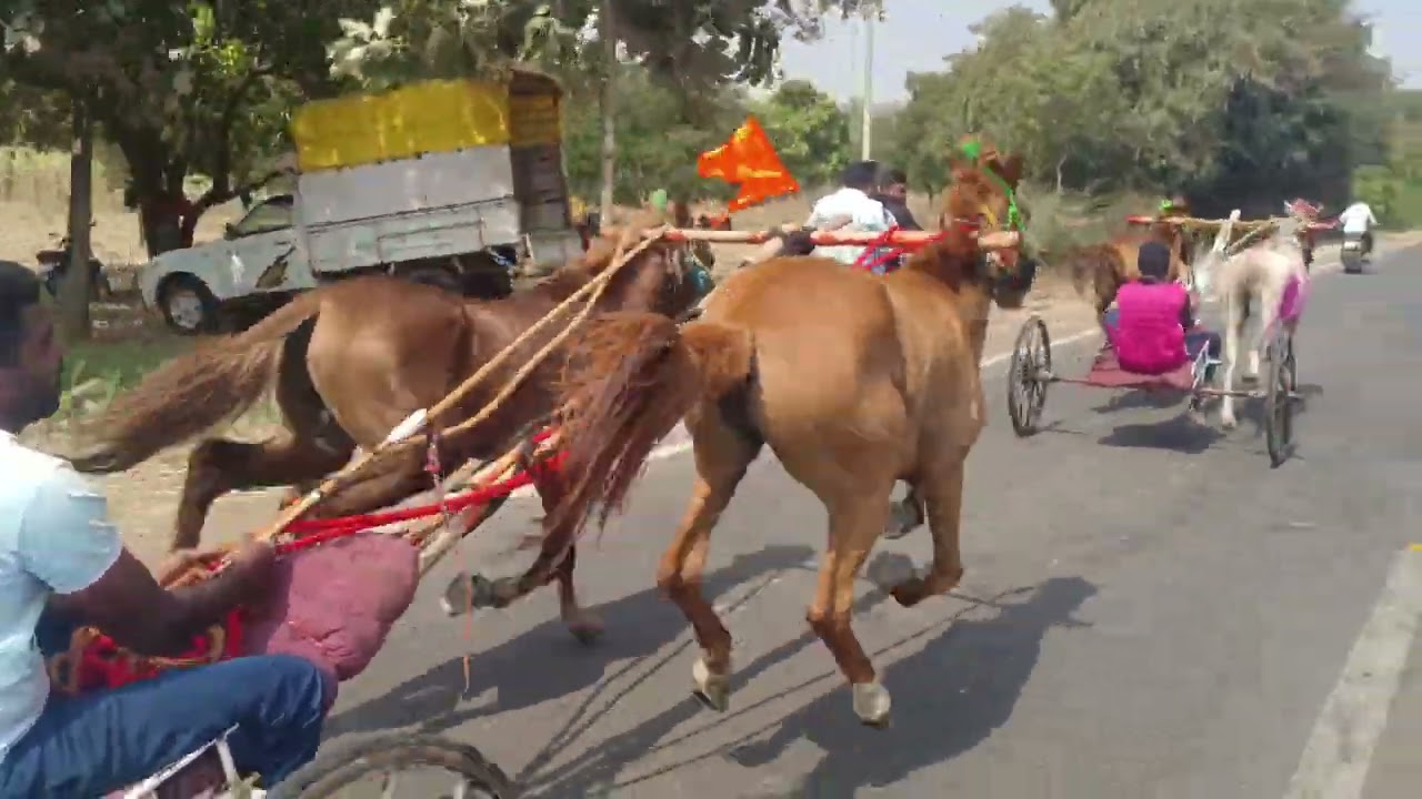 ಕನಗಾವ್ ಕುದರೆಗಾಡಿ ಶರಿಯತ್15000 ಮೈದಾನ 🥇 ಮೇಲಮಟ್ಟಿ ಬಾಳು 🥈ಮಲ್ಲಪ್ ಅಣ್ಣಾ 🥉ಭೀಮ ಅಣ್ಣಾ 