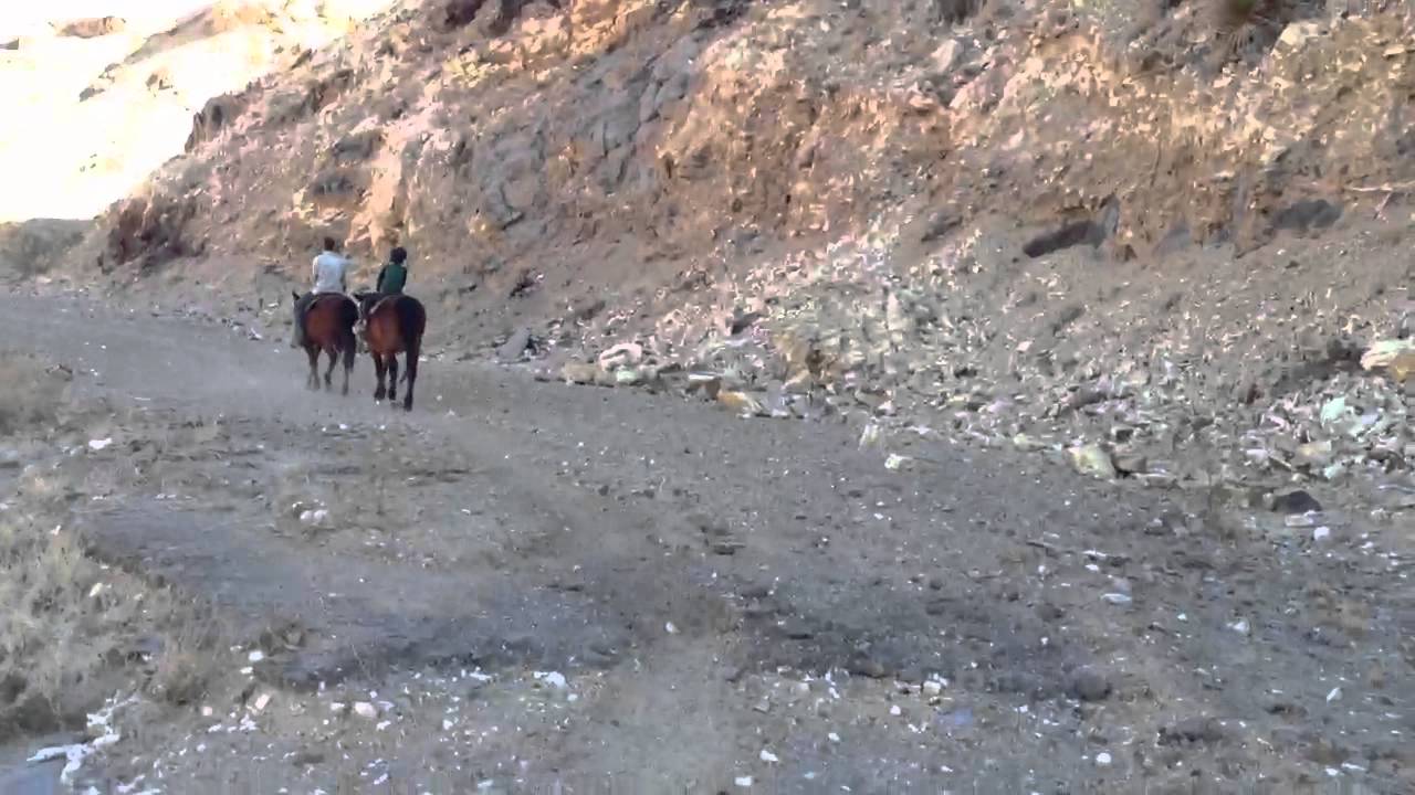 Horse  riding in big bend