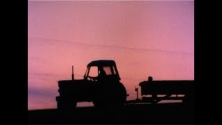 In The Shadow Of The Plough