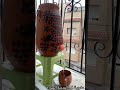 يجمال الماء إذا هو من جرة الفخار مذاق الطين صحي