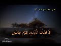 من دلائل قدرة الله سبحانه سورة الانعام 95 99