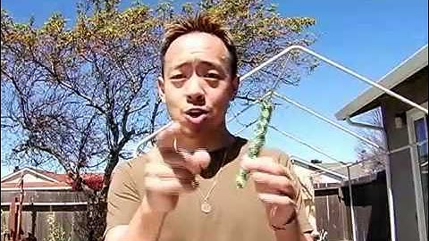 How To Get Out of a Chinese Finger Trap