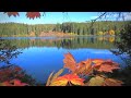 4k Autumn Forest Hike - Brilliant Fall Colors! Nature sounds - Native Birds.