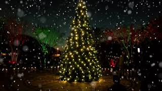 Details Happy Holidays from LSUS Update