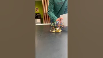 Testing out our unfinished micro mouse