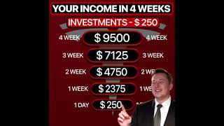 TeslaX Platform Tesla X Investment Program