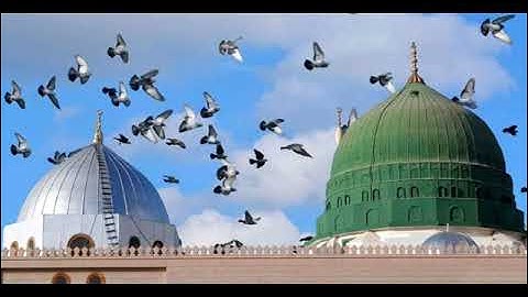 القارئ الشيخ محمد على فرج و ما تيسر من سورة الإسراء