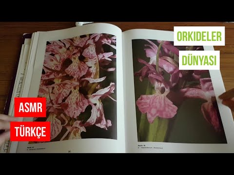 ASMR Orkideler Dünyası | ASMR Türkçe | ASMR Kitap sesi
