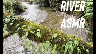 River ASMR - Shingle Mill Creek