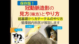 冠動脈造影の見方(味方)とやり方(カテの超基礎から読影流れとやり方を循環器内科医が解説します)