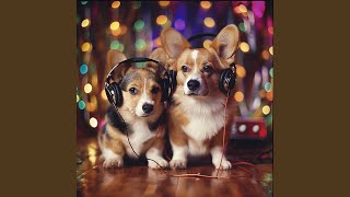 Pets Play Harmony