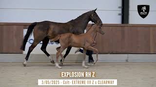Nr 4 - EXPLOSION RH Z - Dam performed at the highest level!