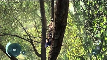 Climbing a Tree in Assassin