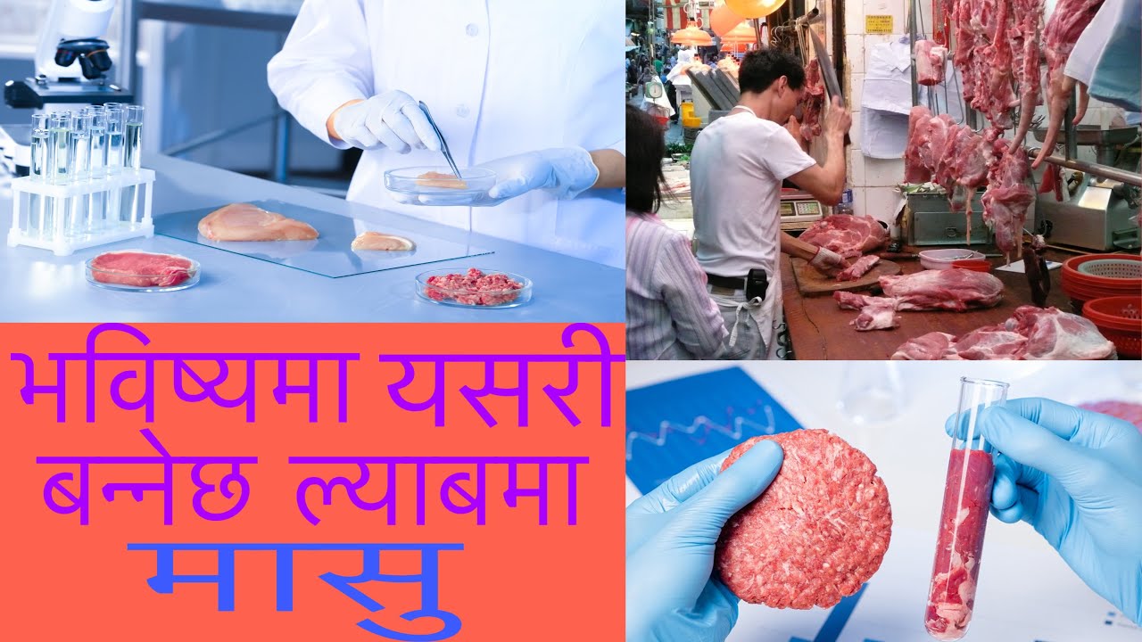 Lab -grown meat facts || Healty meat || Clean meat|| By Nepic Video ...