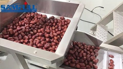 Automatic date palm fruit packing machine, dried date packaging machine, red date packing machine
