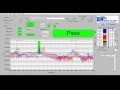 Resonant Inspection - NDT-RAM - Peak Marks, Data Traces and Range Lines