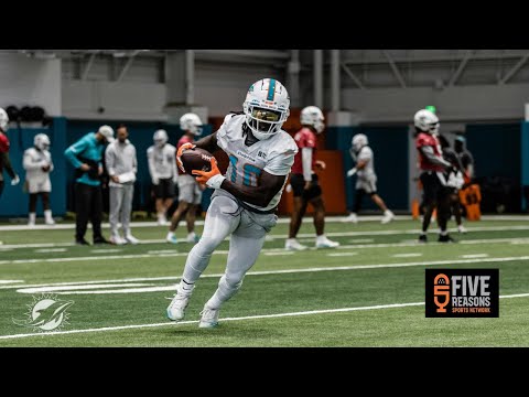 John Congemi LOVES The Dolphins Focus This Year | The Defo Show with Lubie