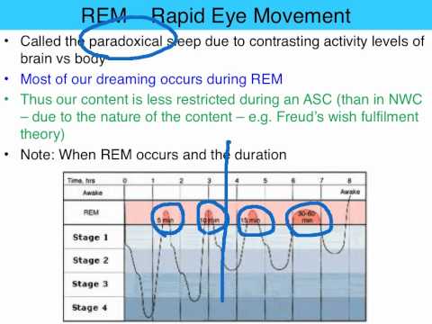 REM and NREM sleep - VCE Unit 3 Psychology