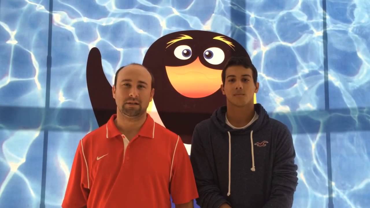 Team USA diving coach
