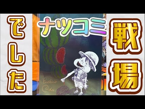 ナツコミという名の戦場でした・・・なんでこうなってしまったのか