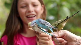 Baha Mar Conservation