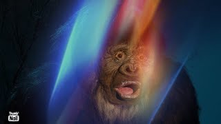 Creepy Bigfoot screams at a truck stop - Searching for Sasquatch