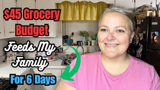 $45 Grocery Budget Makes 80 Individual Meals || Budget Meals For Families