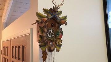 Hunter Style Cuckoo Clock Chiming Every Hour