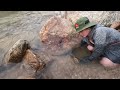 Find natural fish under the big rock after the flood, skills to catch fish by hand to survive