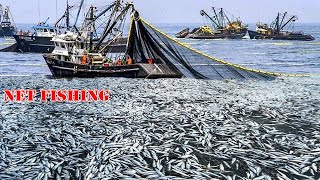 Wow!! Net Fishing, Big Catching A Lot of Fish on The Boat - Biggest Fishing Net