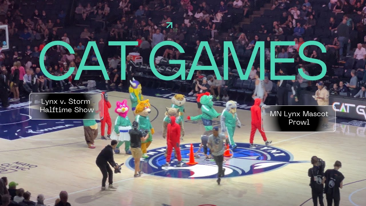 Cat Games at Prowl’s Birthday Party - Mn Lynx